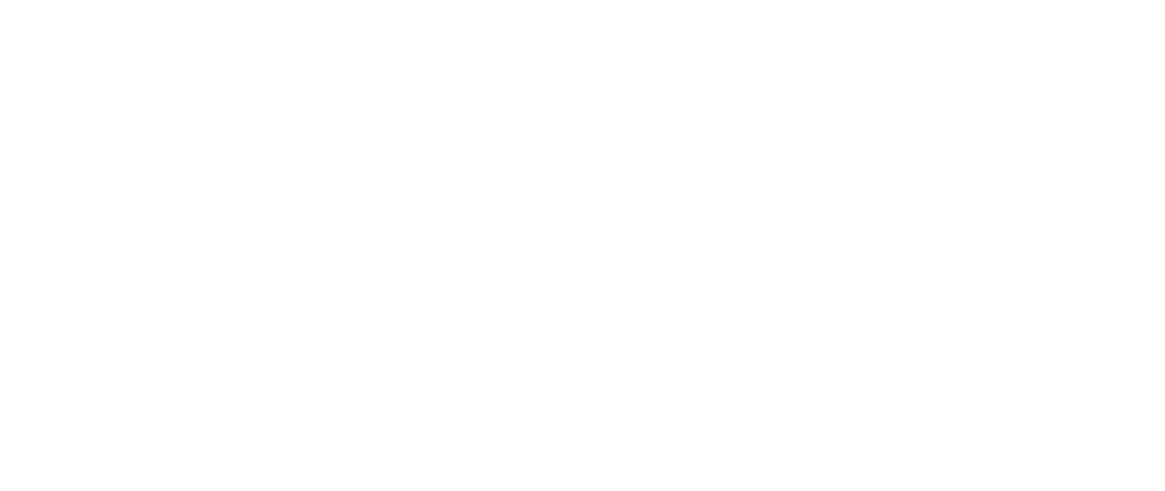 SEBProfessional_Web_Logo white